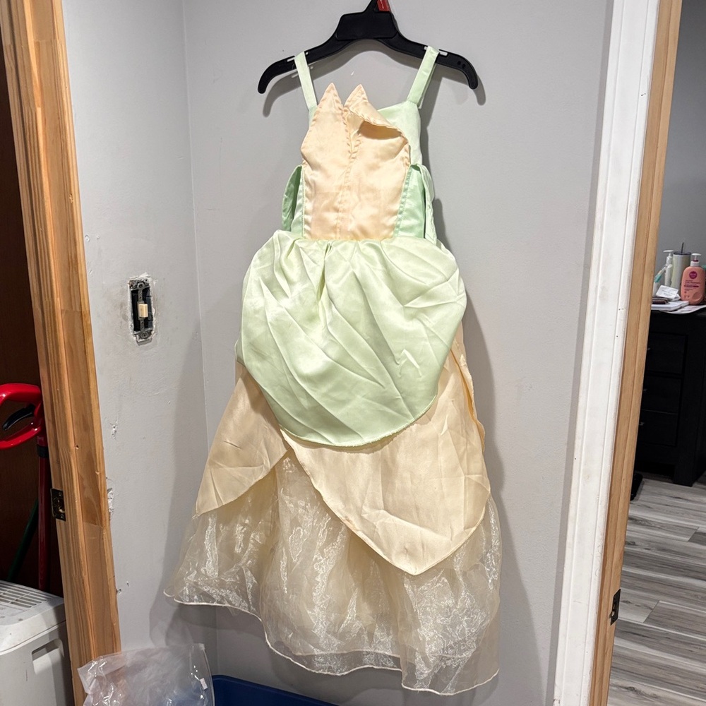 Kids Princess Costume in Green and Cream